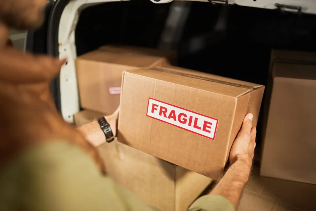 Fragile 2 scaled.jpg