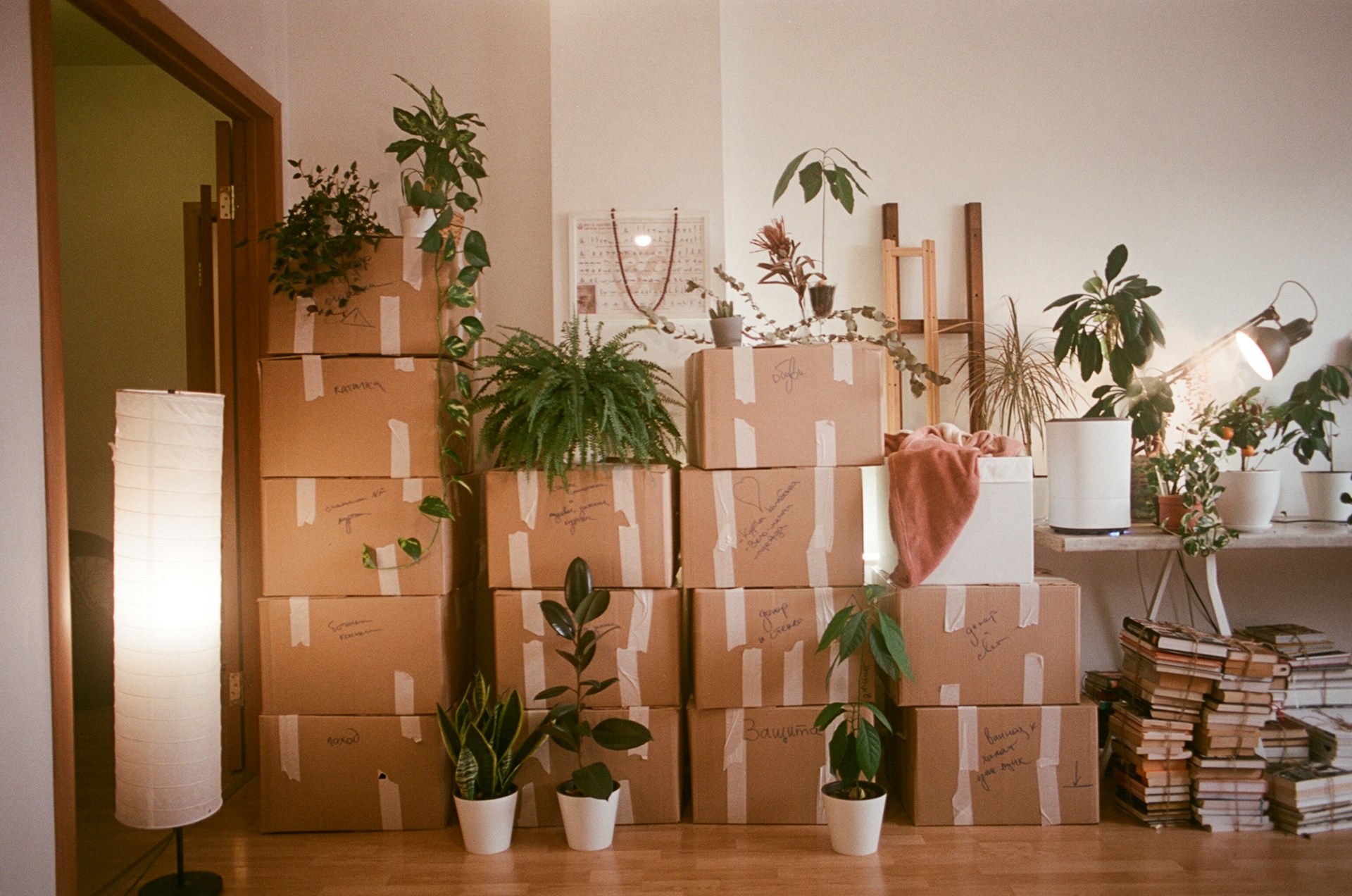moving plants