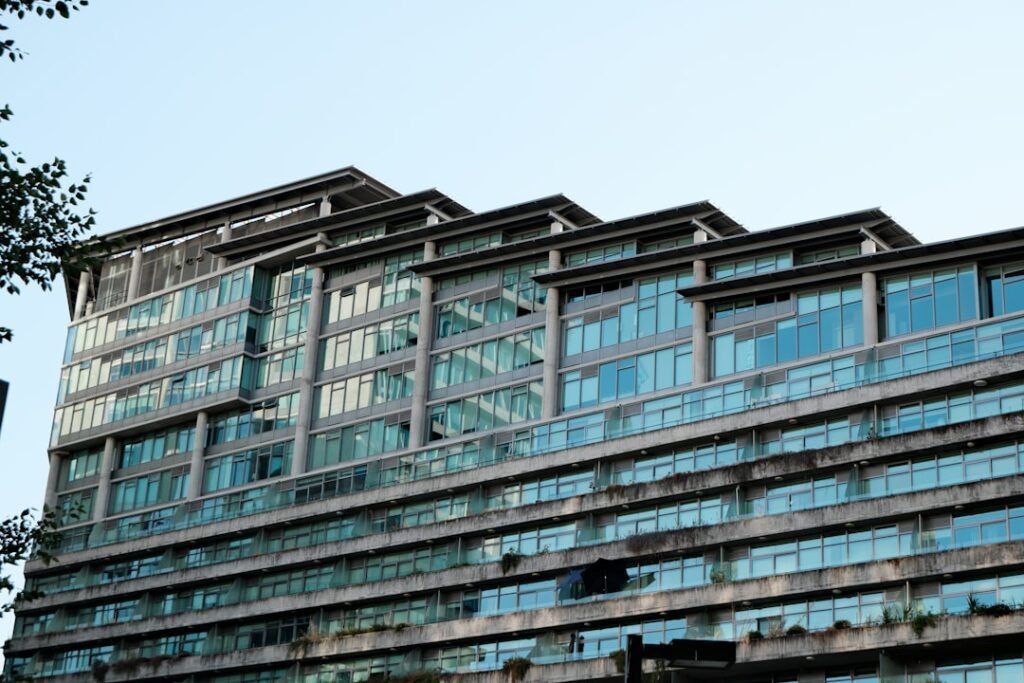 best commercial moves in bellevue, wa